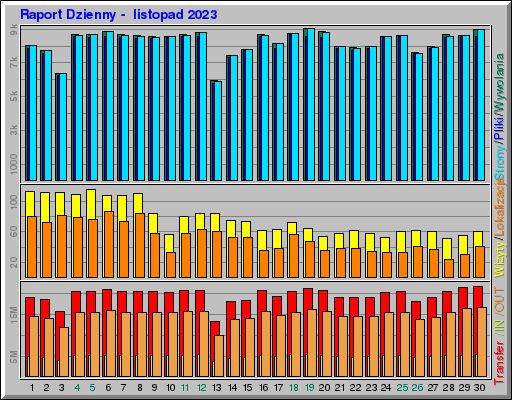 Raport Dzienny -  listopad 2023