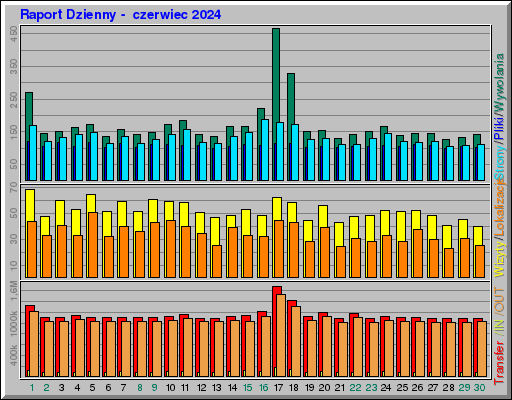 Raport Dzienny -  czerwiec 2024