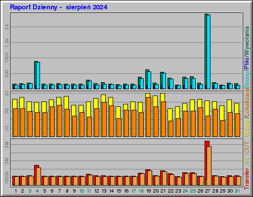 Raport Dzienny -  sierpień 2024