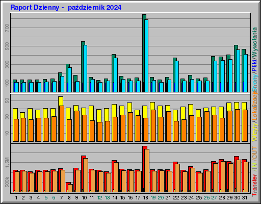 Raport Dzienny -  październik 2024