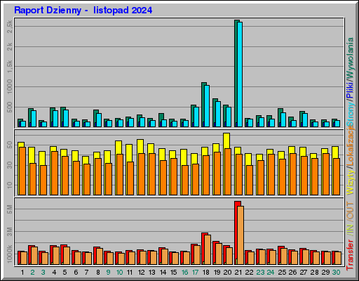 Raport Dzienny -  listopad 2024