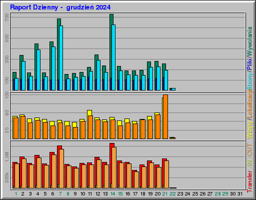 Raport Dzienny -  grudzień 2024