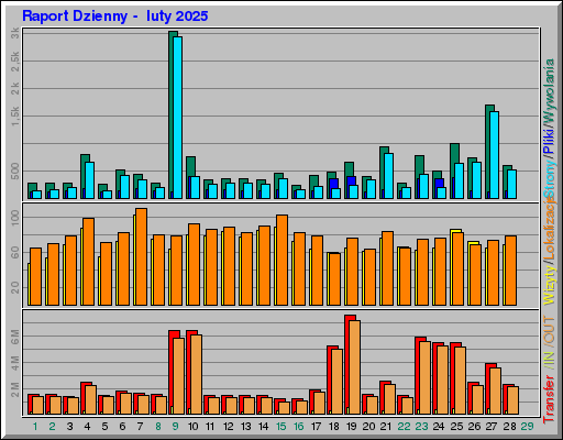 Raport Dzienny - luty 2025 Raport Dzienny - luty 2025