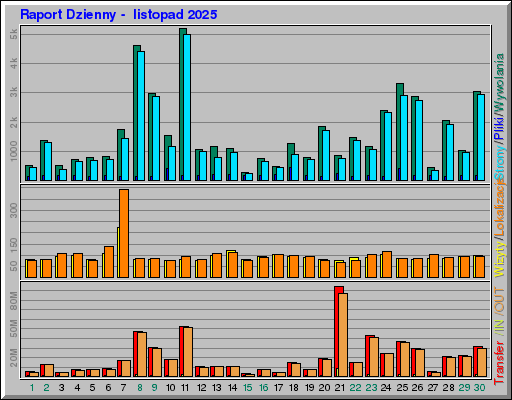 Raport Dzienny -  listopad 2025
