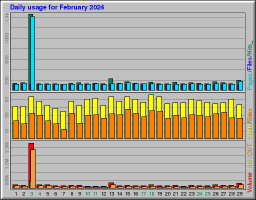 Raport Dzienny -  luty 2024