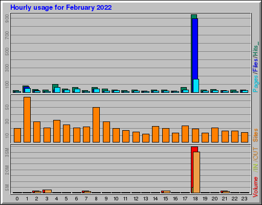 Raport Godzinowy -  luty 2022