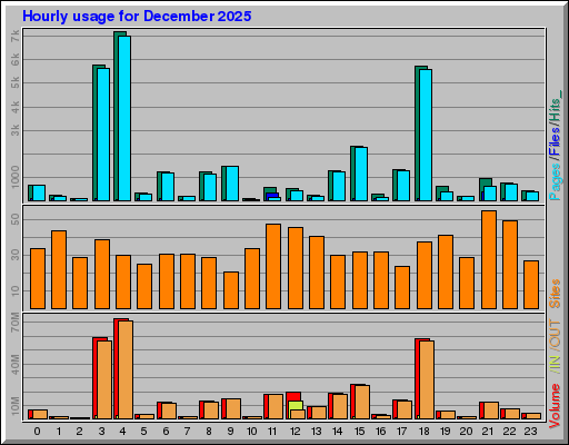 Raport Godzinowy -  grudzień 2025