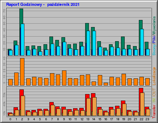 Raport Godzinowy -  paĹşdziernik 2021