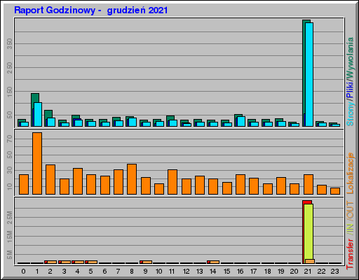 Raport Godzinowy -  grudzieĹ 2021