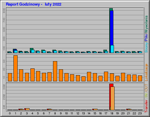 Raport Godzinowy -  luty 2022