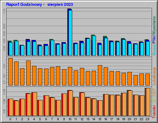 Raport Godzinowy -  sierpień 2023