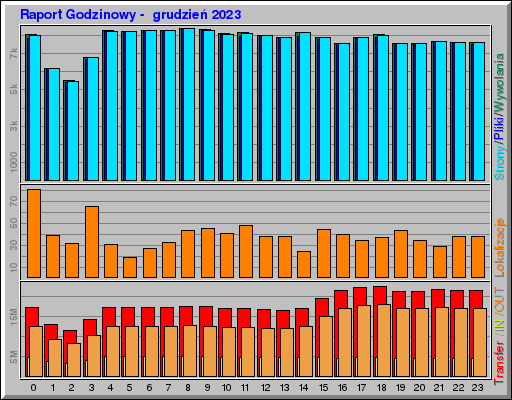 Raport Godzinowy -  grudzień 2023