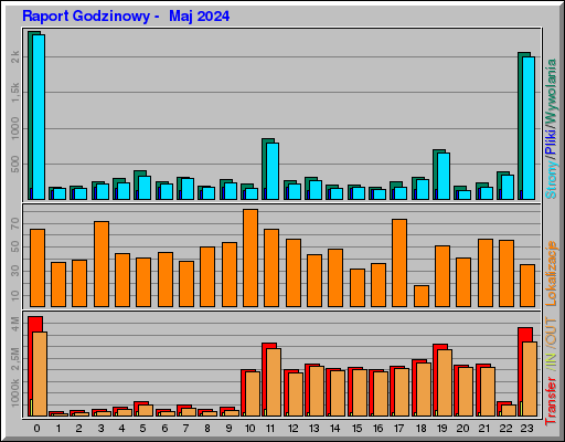 Raport Godzinowy -  Maj 2024