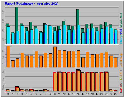 Raport Godzinowy -  czerwiec 2024