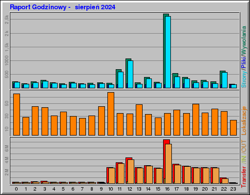 Raport Godzinowy -  sierpień 2024