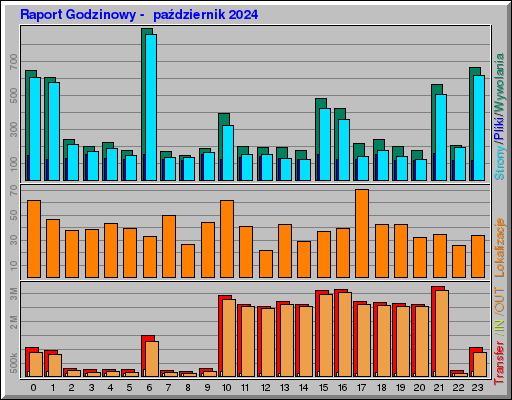 Raport Godzinowy -  październik 2024