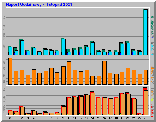 Raport Godzinowy -  listopad 2024