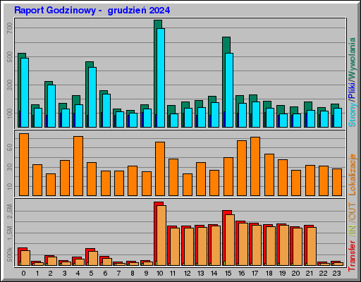 Raport Godzinowy -  grudzień 2024