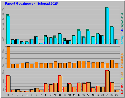 Raport Godzinowy -  listopad 2025